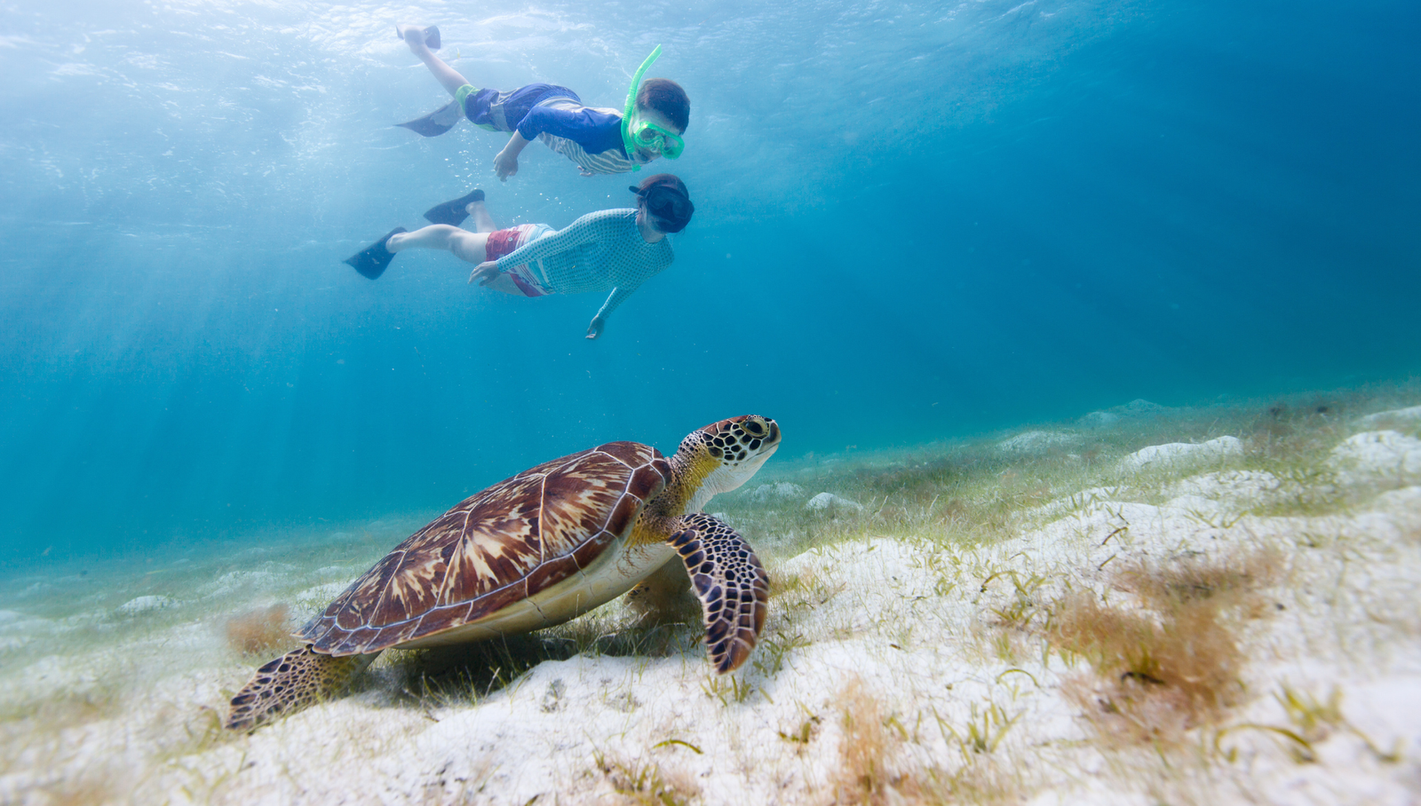 Snorkeling