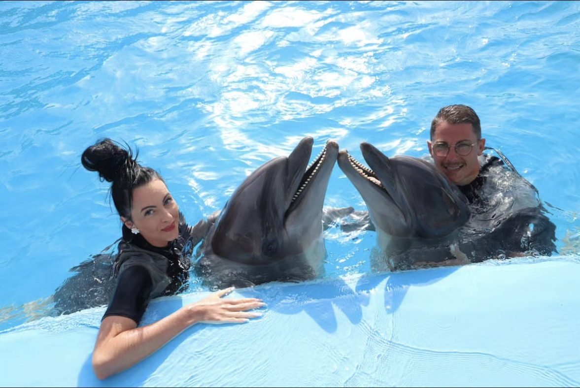 Nage avec les dauphins